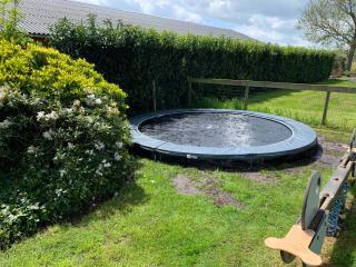 Vakantiehuis de Turfvaart - Wachtum - 4