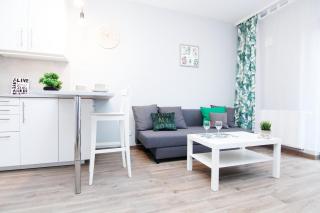 Blue River - Walonska 19 - private Apartment - Breslavia - 2