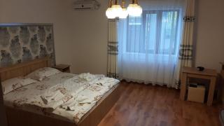 Casa Sviniceană - Sviniţa - 6