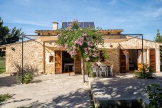 Es Camp Pla - Sineu - 7