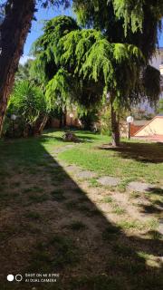 il Giardino di Sirius - Francavilla al Mare - 2