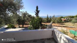 Panorama - Eretria - 1