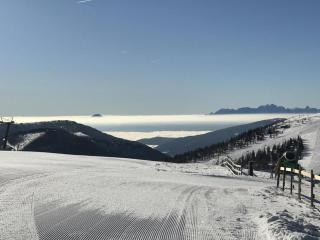 Chalet Latschen - für Großfamilien, Firmen & Co. - Bad Kleinkirchheim - 7