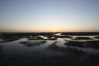Flip Flop Fun - Isle of Palms - 5