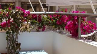 Cozy Central Apartment - Ksamil - 2