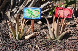 Casa Madre Tierra - 4