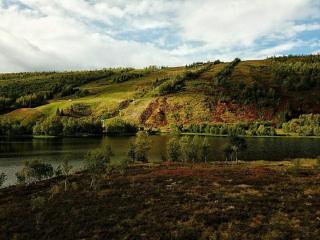 Vestvatn - Arctic Cabins - Brekke - 5