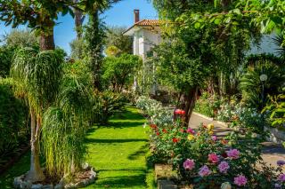 Villa Donna Elisa Sorrento - 5