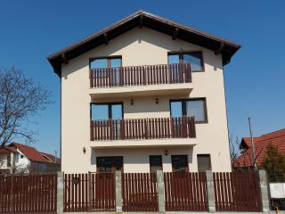 Pensiunea Albina - Sînnicoară - 9