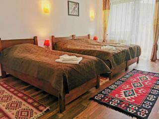 Pensiunea Albina - Sînnicoară - 7