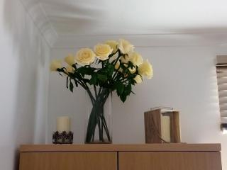 The Cottage - Grahamstown - 3