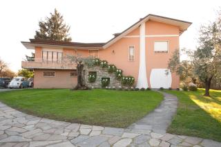 Nel Giardino Degli Ulivi - 1