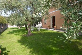 Nel Giardino Degli Ulivi - Castelnuovo Magra - 2