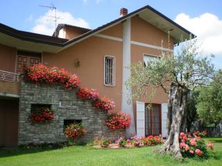 Nel Giardino Degli Ulivi - Castelnuovo Magra - 0