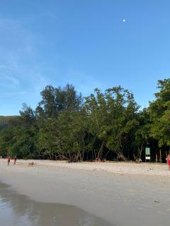 Flower Garden Self-Catering Apartments - Beau Vallon - 6