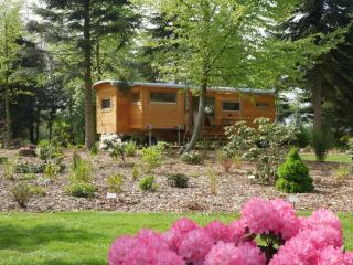Tiny House, Kleinod im Grünen - Emstek - 9