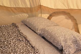 Starlight Tent 2 - Holbrook - 8