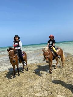 Tom and Rimi's - 6