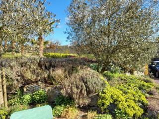 Havre de paix et jardin tropical. Chambre privée - Le Rheu - 4