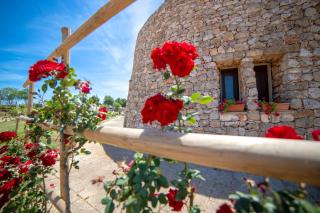 Delle Rose, Hotel & Horse Riding - 1