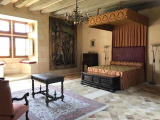 Chateau Manoir de Chandoiseau - Les-Trois-Moutiers - 6