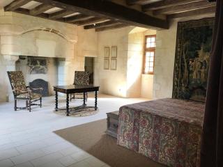 Chateau Manoir de Chandoiseau - Les-Trois-Moutiers - 4