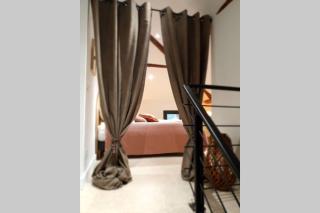 Appartement de charme dans maison fin XIXème - Santo-Pietro-di-Tenda - 6