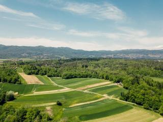 Kmečka hiša Bahor - 8