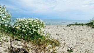 Solaria House Mamaia - Constanţa - 3