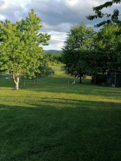 Apartment & Rooms Arija - 9