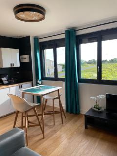 Appartement 1 Château La Rose des Vents - Puisseguin - 3