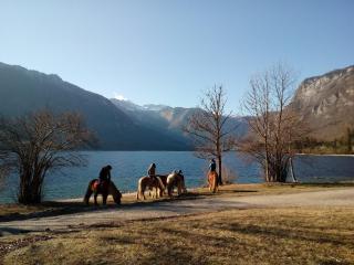 Apartment Šporar - Bohinj - 5