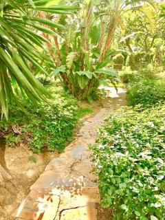 BENALBEACH GARDEN - Benalmádena - 7