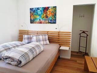 3,5 Zimmer Dachwohnung: Modern, komfortabel, zentral, mit Bergsicht - Disentis - 6