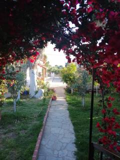Armonia Studios - Agios Georgios - 4