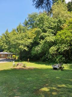 Havelock Garden Motel - Havelock - 0