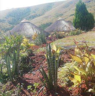 Slubani - Eshowe - 3