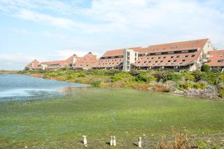 Dolphin Beach E30 - Cidade Do Cabo - 6