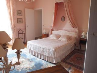 Château de Nazé Vivy-Saumur - Vivy - 3
