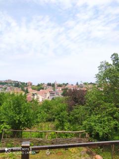 GUEST HOUSE DAVID - Sighnaghi - 7