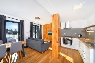 Podstata Apartments Vrchlabí - Rotterovka - Vrchlabí - 7