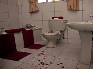 Golden Pillow Guest House - Polokwane - 4