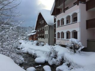 Dachstein - Russbach am Pass Gschütt - 9