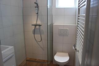 De kleine strandloper - 5