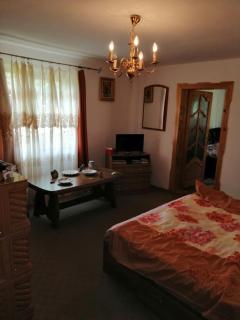 Casa Ilea -Agapia - Agapia - 7