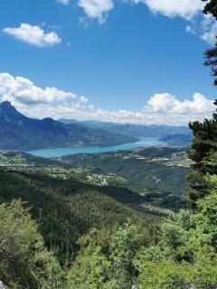 Le grand cerf le Pelvou - 3