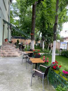 Green House - Bucarest - 3
