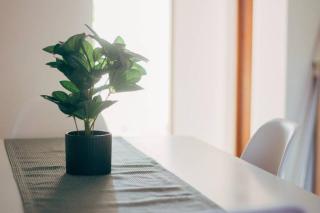 Rákóczi apartman - 2