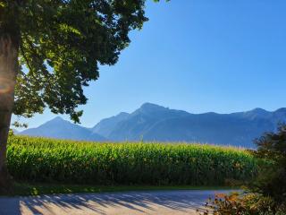 Eichenhof - Reith im Alpbachtal - 3