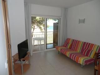 Apartaments Les Roques - 7